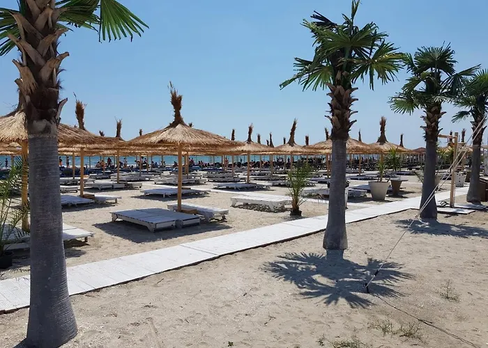 Aba's Onix Blue Mamaia Nord *